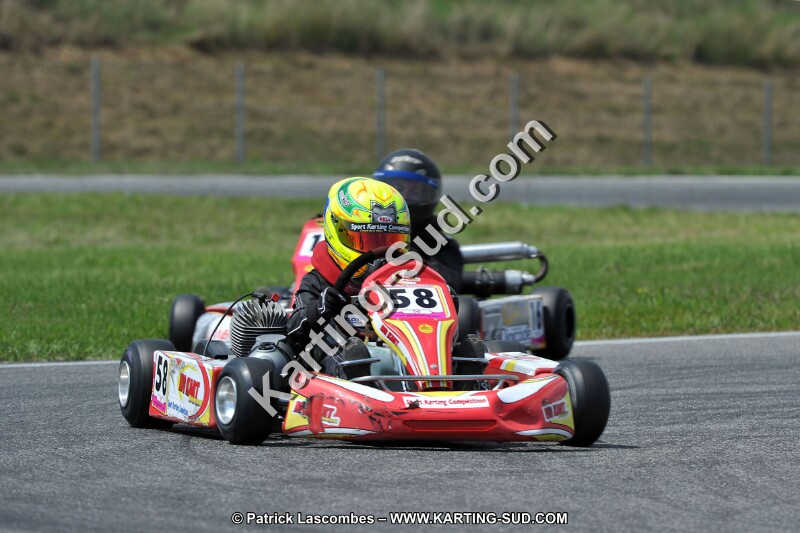 DSC_ (376).jpg